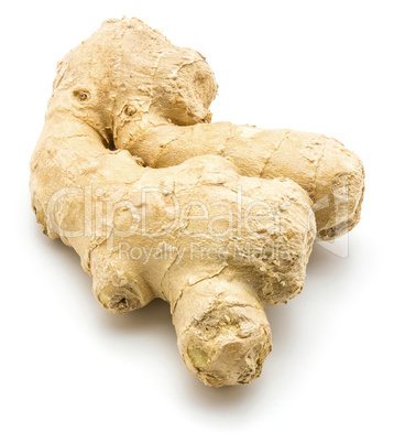 Fresh ginger root isolated on white