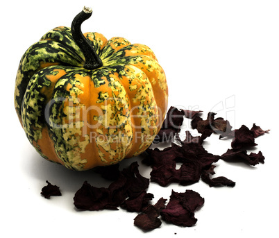 Green pumpkin isolated on white