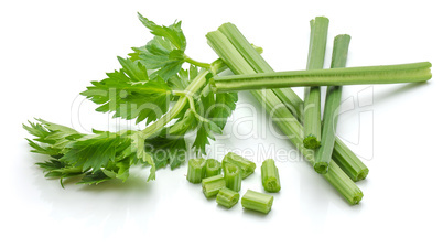 Fresh celery isolated on white