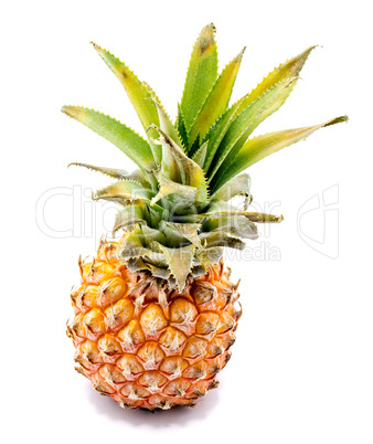 Fresh pineapple isolated on white