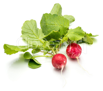 Fresh red radish isolated on white