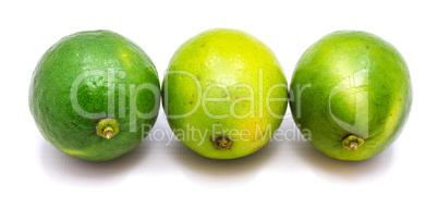 Fresh lime isolated on white