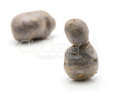 Fresh vitelotte potato isolated on white