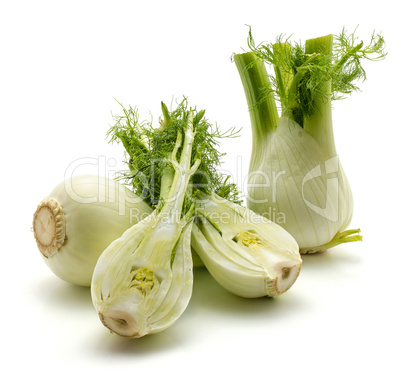 Fresh fennel isolated on white