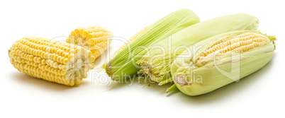 Fresh corn isolated on white