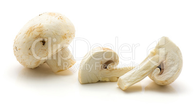 Raw champignons isolated on white