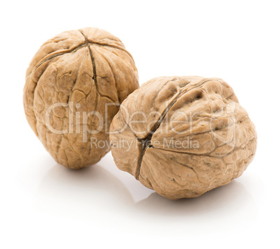 Raw walnut isolated on white