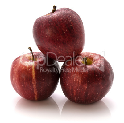 Apple gala variety isolated on white