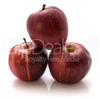 Apple gala variety isolated on white