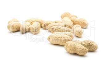 Raw peanut isolated on white
