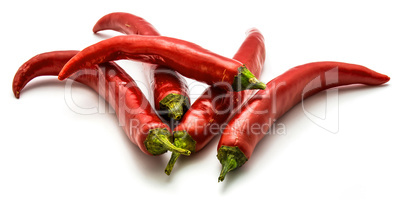 Fresh red chilli pepper isolated