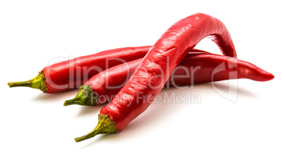 Fresh red chilli pepper isolated