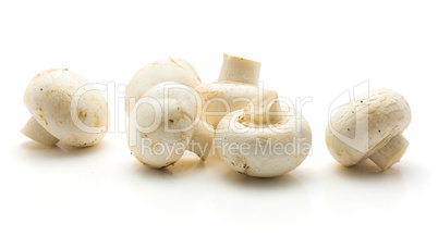 Raw champignons isolated on white