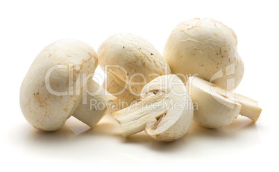 Raw champignons isolated on white