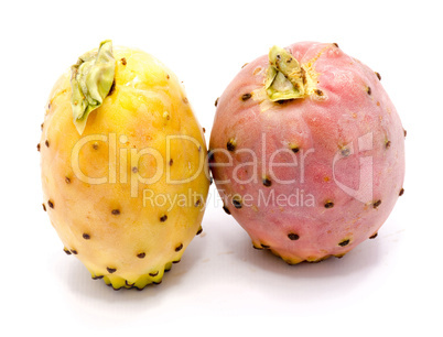 Fresh opuntia isolated on white