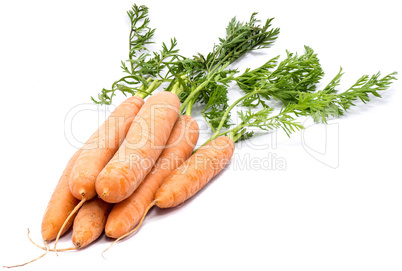 Raw carrot isolated on white