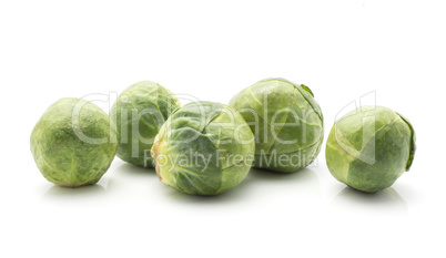 Raw brussels sprout isolated