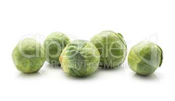 Raw brussels sprout isolated