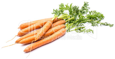 Raw carrot isolated on white