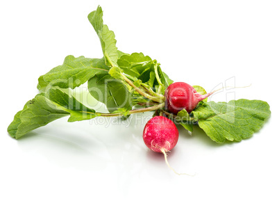 Fresh red radish isolated on white