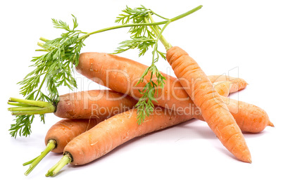 Raw carrot isolated on white