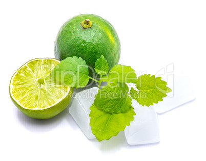 Fresh lime and melissa isolated on white