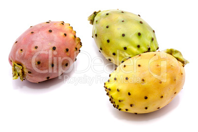 Fresh opuntia isolated on white