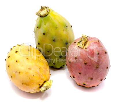 Fresh opuntia isolated on white