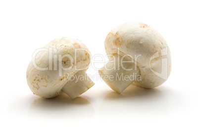 Raw champignons isolated on white