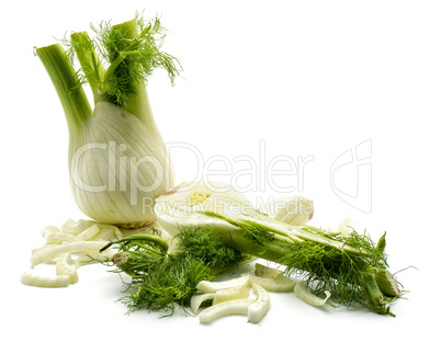 Fresh fennel isolated on white