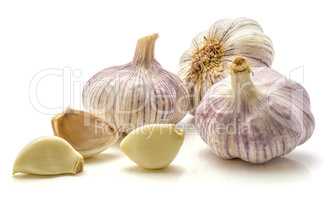 Common garlic isolated on white
