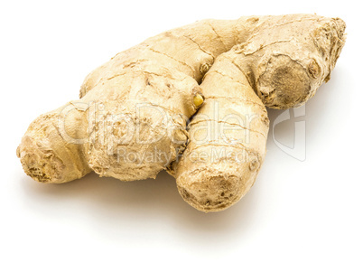 Fresh ginger root isolated on white