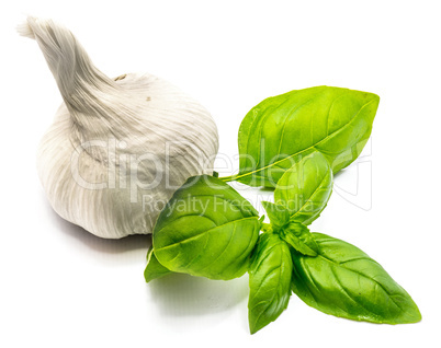 Fresh garlic and basil isolated on white