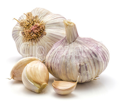 Common garlic isolated on white