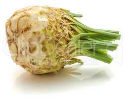 Fresh celery isolated on white