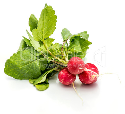 Fresh red radish isolated on white