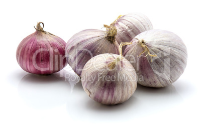 Fresh chinese garlic isolated on white