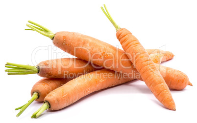 Raw carrot isolated on white