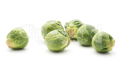 Raw brussels sprout isolated