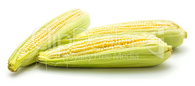 Fresh corn isolated on white