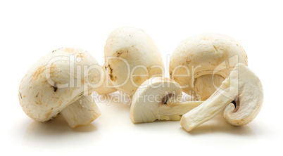 Raw champignons isolated on white