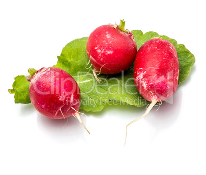 Fresh red radish isolated on white