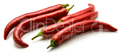 Fresh red chilli pepper isolated