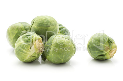 Raw brussels sprout isolated