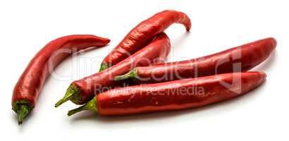 Fresh red chilli pepper isolated
