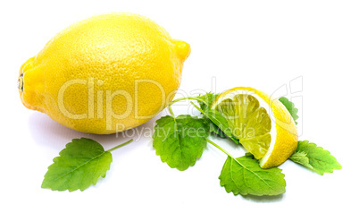 Fresh lemon and melissa isolated