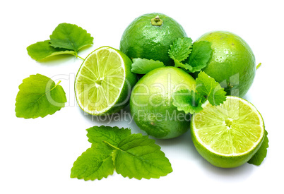 Fresh lime and melissa isolated on white