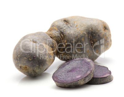 Fresh vitelotte potato isolated on white