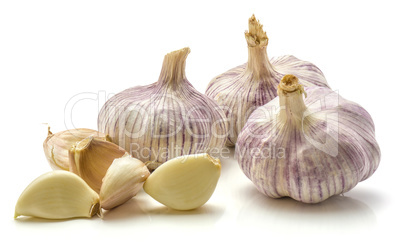 Common garlic isolated on white