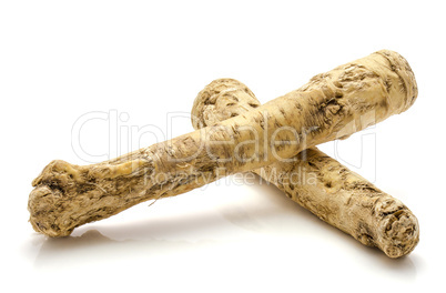 Fresh horseradish isolated on white